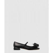 지미추 Rosa Flowers Fla