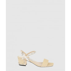 지미추 Aadra raffia