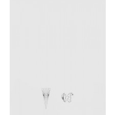 구찌 아이콘 비대칭 귀걸이 662067