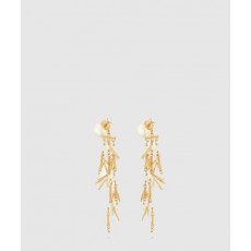 디올 Tribales 귀걸이 E4089