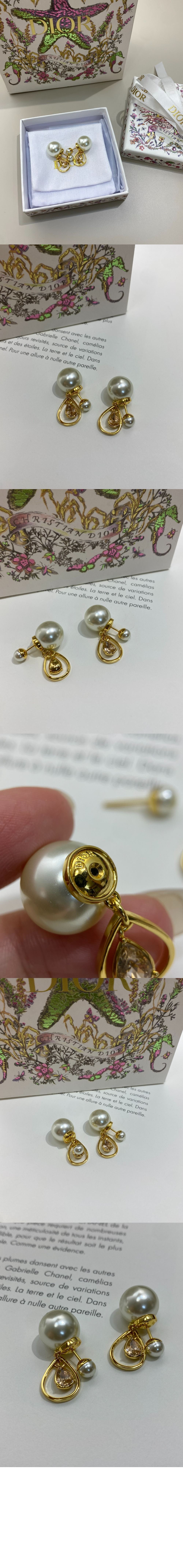 디올 Tribales 귀걸이 E4037