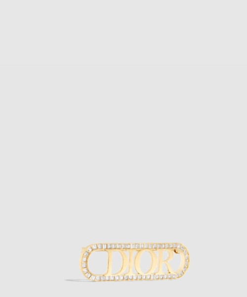 디올 evolution 브로치 V1428