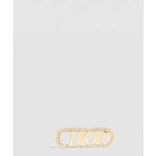 디올 evolution 브로치 V1428