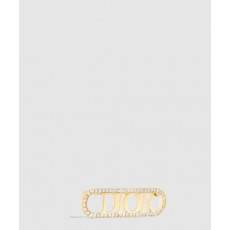 디올 evolution 브로치 V1428