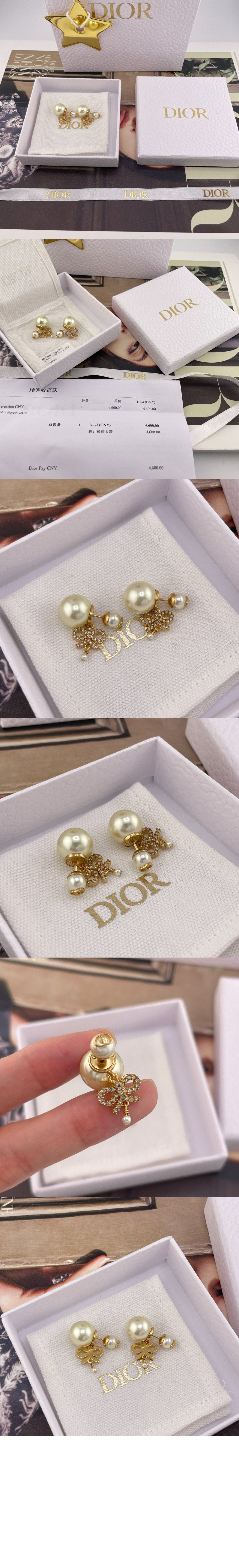 디올 Tribales 귀걸이 E4051