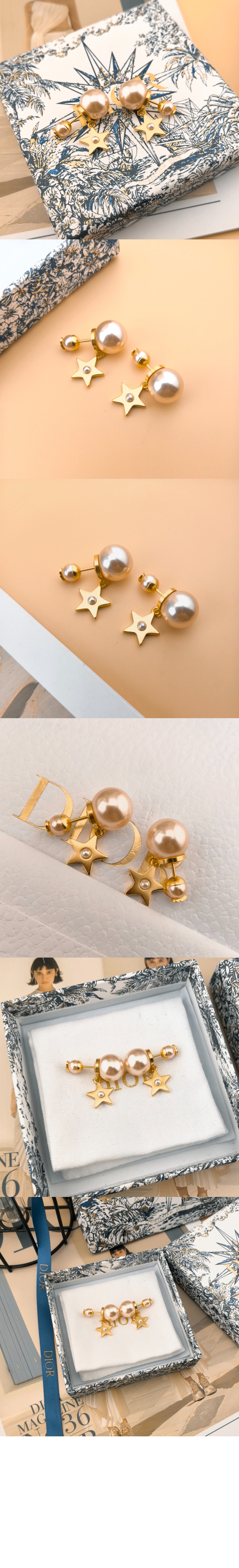 디올 Tribales 귀걸이 E3957