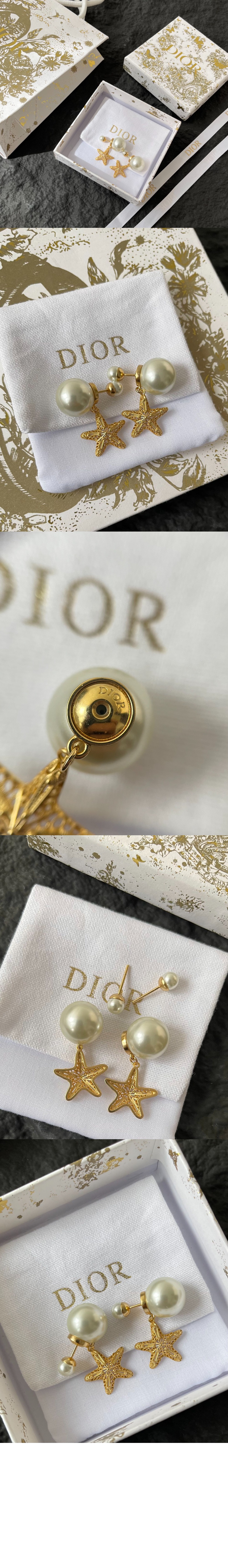 디올 Tribales 귀걸이 E3736