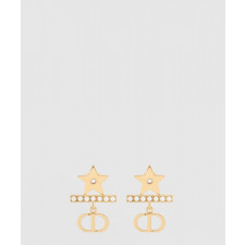 디올 Petit CD 귀걸이 E3762