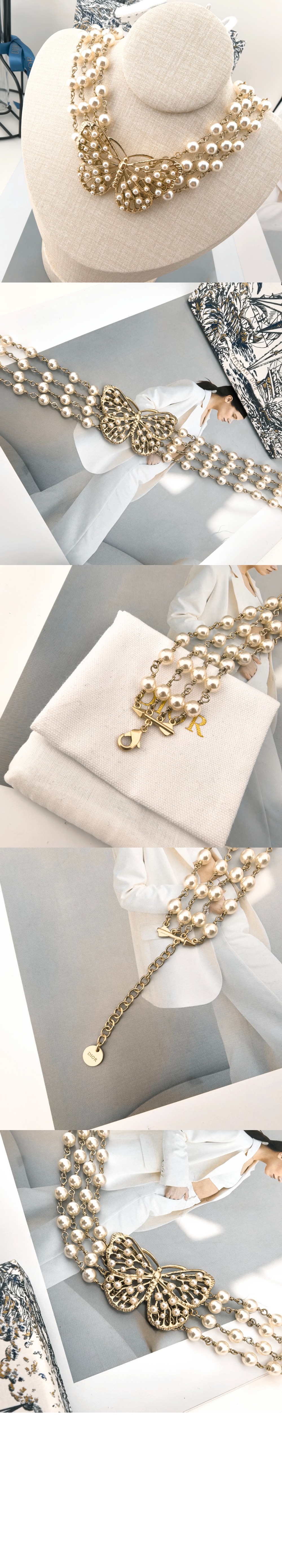 디올 Toile de Jouy Papillon 초커 N3252