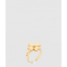 디올 Lucky Dior 반지 R2542