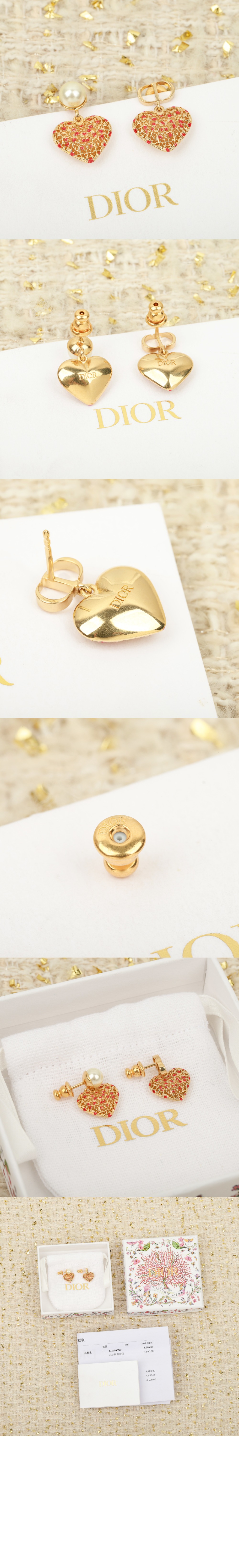 디올 Cœur des Curiosités 귀걸이 E3706