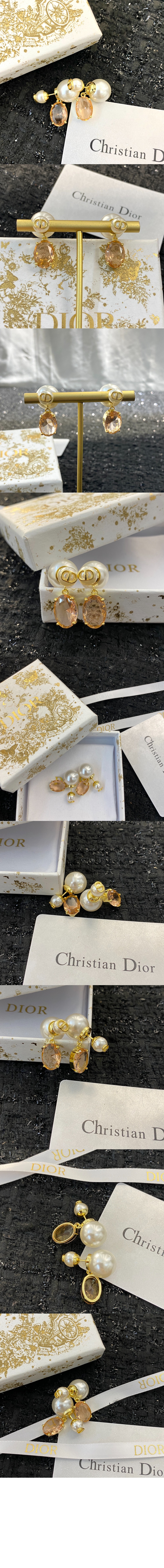 디올 트라이벌 귀걸이 E1893