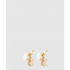 디올 트라이벌 귀걸이 E1893