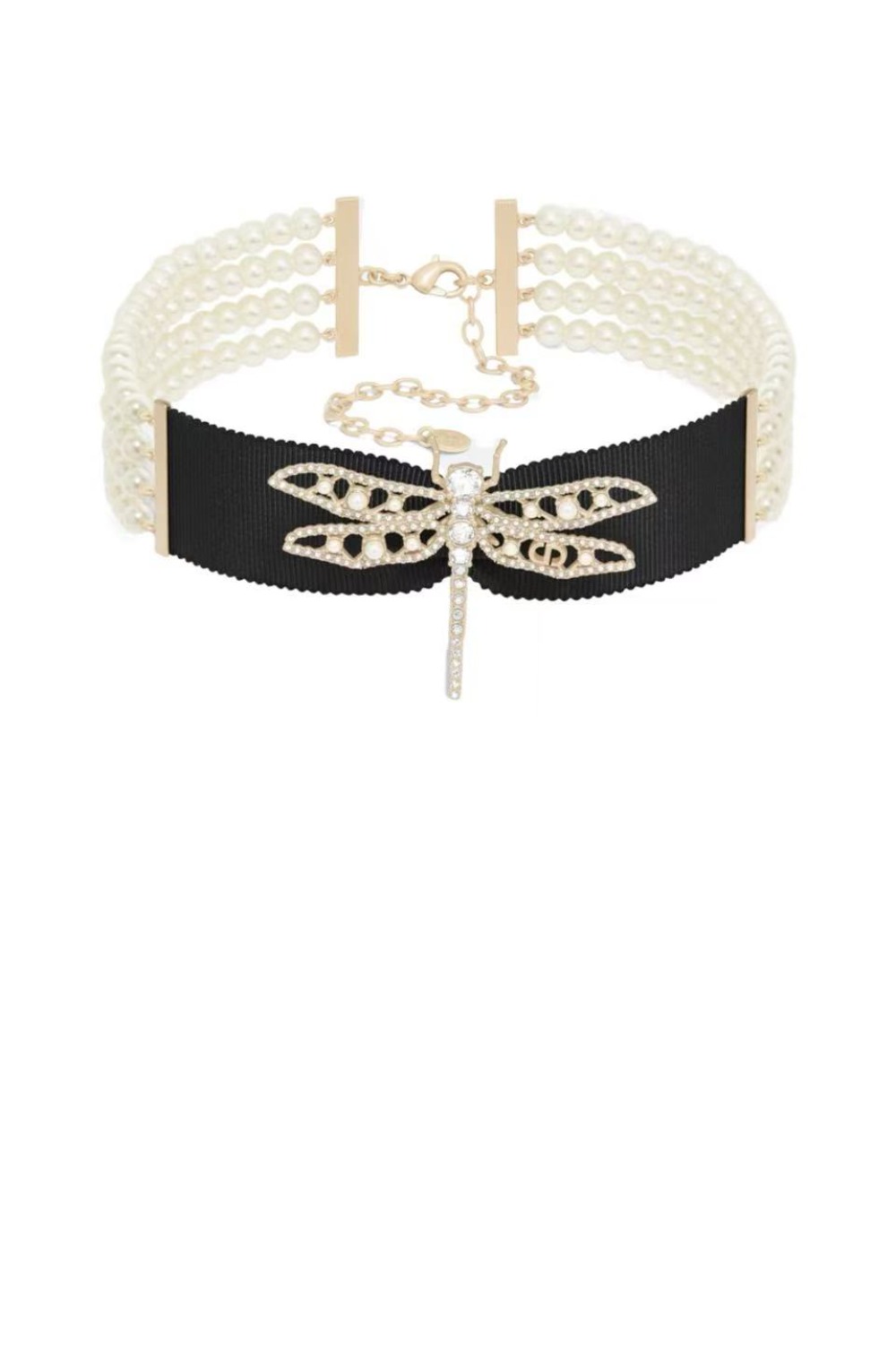 디올 나이트 허바리움 목걸이 N2831