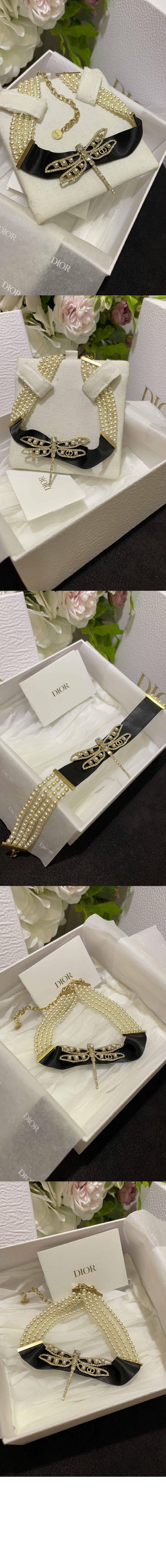 디올 나이트 허바리움 목걸이 N2831