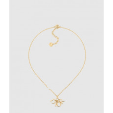 디올 레볼루션 목걸이 N1680