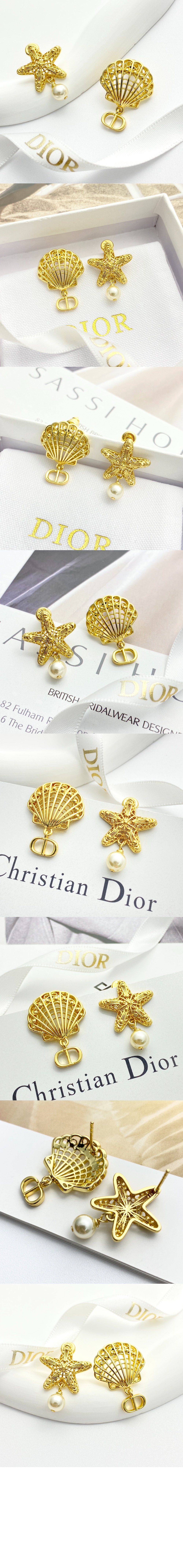 디올 Cabinet de Curiosités 귀걸이 E3629