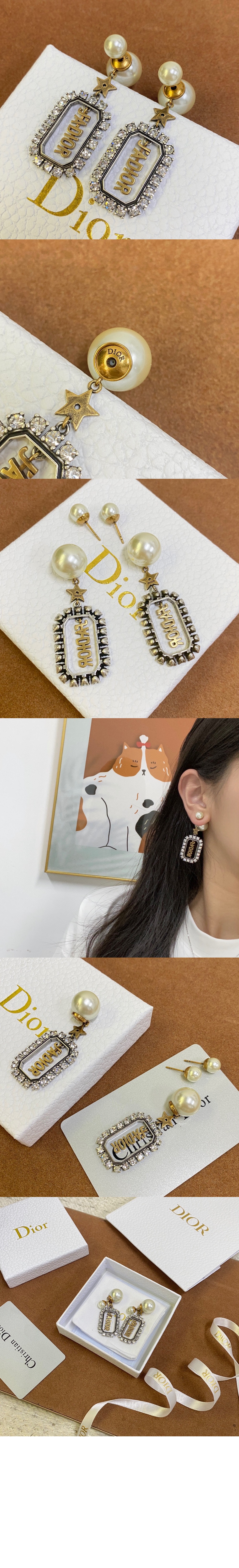 디올 Tribales 귀걸이 E1357