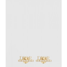 디올 Evolution 귀걸이 E1456