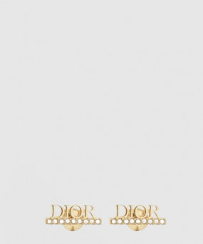 디올 Evolution 귀걸이 E1456