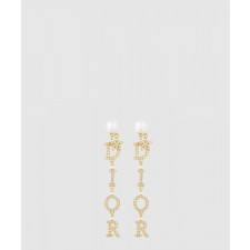 디올 Evolution 귀걸이 E1457