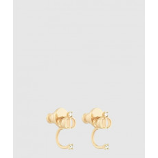 디올 귀걸이 E2052