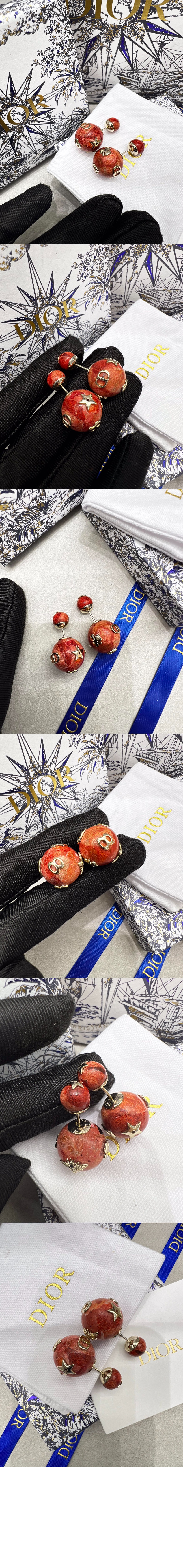 디올 트리발레스 귀걸이 E2189