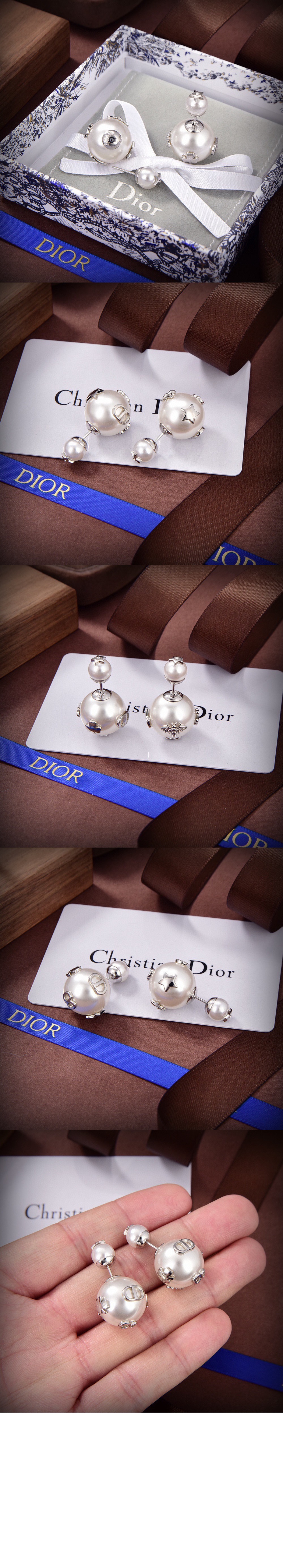 디올 Tribales 귀걸이 E2319