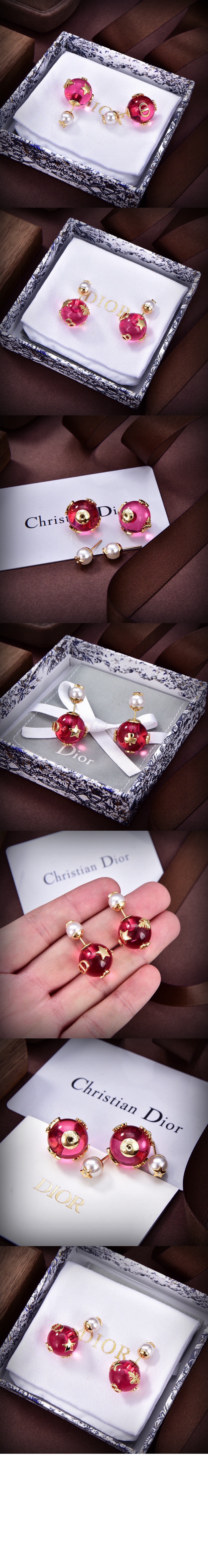 디올 Tribales 귀걸이 E2319