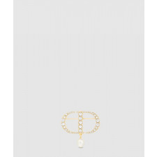 디올 Petit CD 브로치 V0716