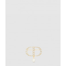 디올 Petit CD 브로치 V0716