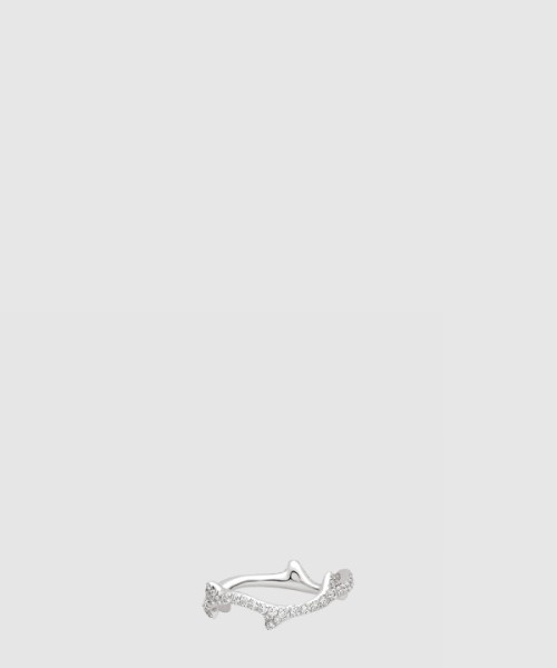 디올 보이스 드 로즈 반지 JBDR9