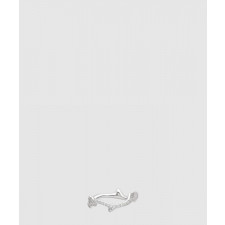 디올 보이스 드 로즈 반지 JBDR9