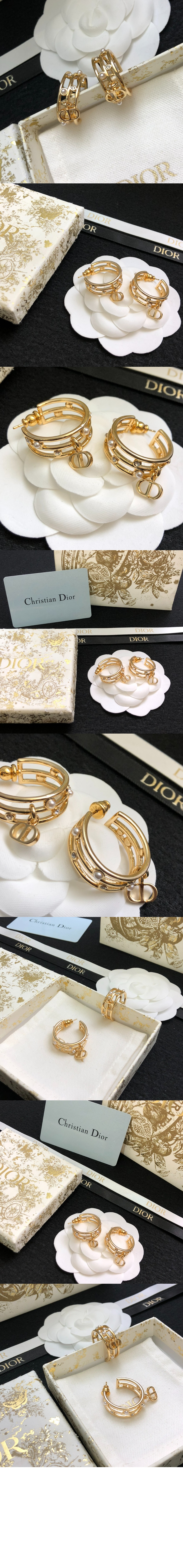 디올 D-디백스테이지 귀걸이 E3177