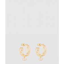 디올 D-디백스테이지 귀걸이 E3177