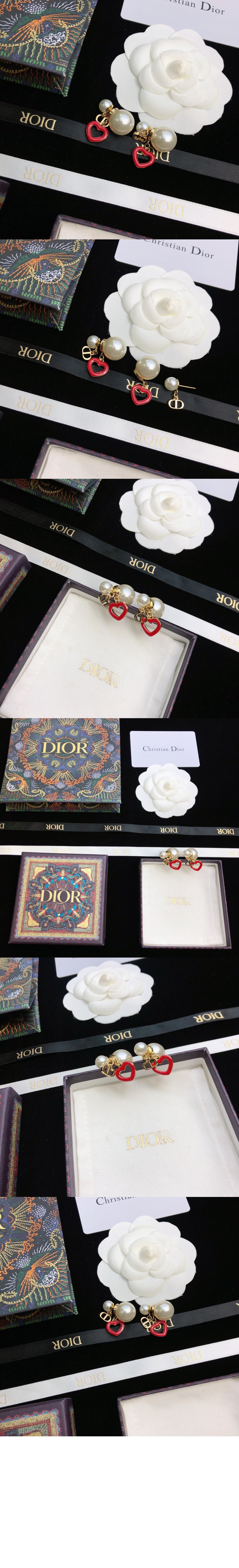 디올 아무르 트라이벌 귀걸이 E1638