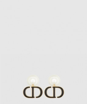 디올 트라이벌 귀걸이 E1293