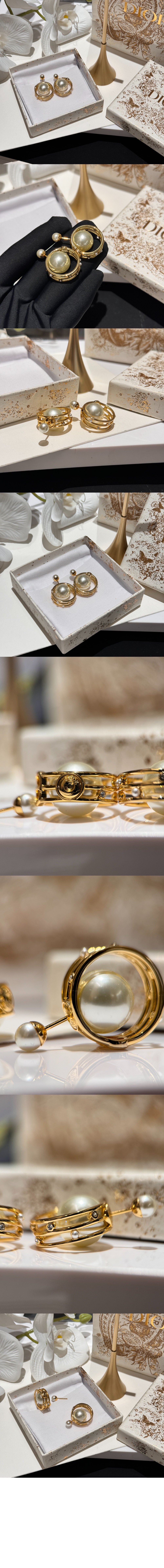 디올 트라이벌 귀걸이 E3173