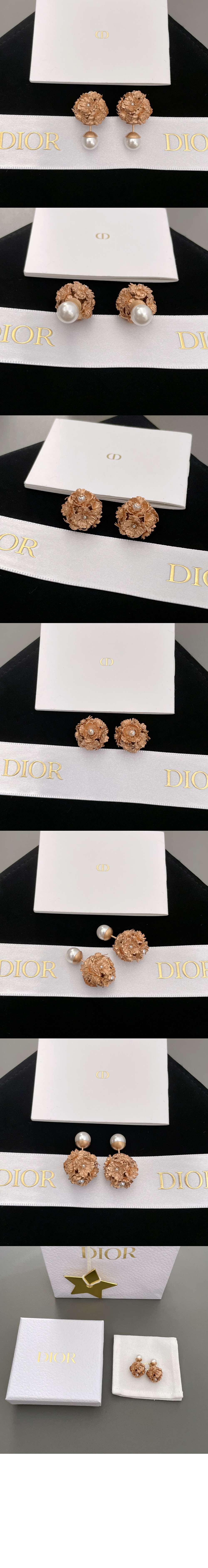 디올 트라이벌 귀걸이 E2406