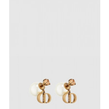 디올 트라이벌 귀걸이 E2026