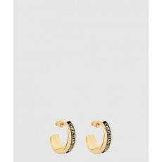 디올 코드 귀걸이 E2281