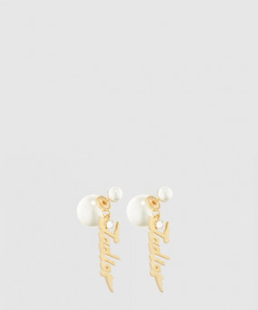 디올 귀걸이 E1576