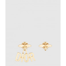 디올 evolution 귀걸이 E2013