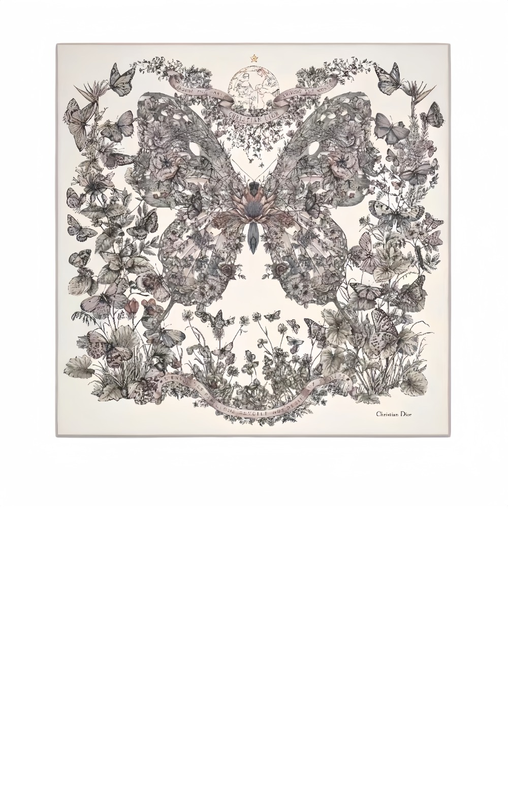 디올 Butterfly Around the World 41PAW