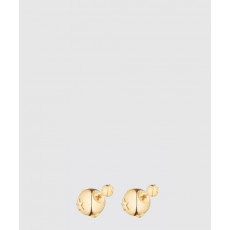 디올 Tribales 귀걸이 E2049