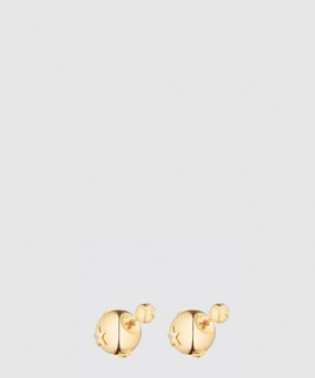 디올 Tribales 귀걸이 E2049