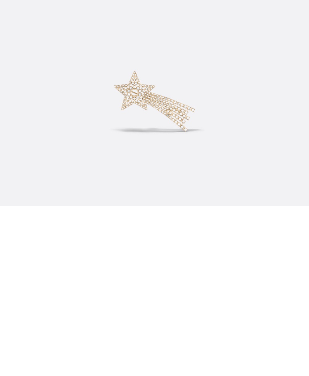 디올 브로치 V1347