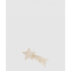 디올 브로치 V1347