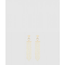 디올 크리스챤디올 귀걸이 E2329