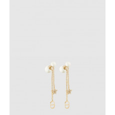 디올 트라이벌 귀걸이 E1270